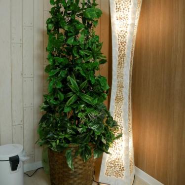 入るとおしゃれなオブジェが